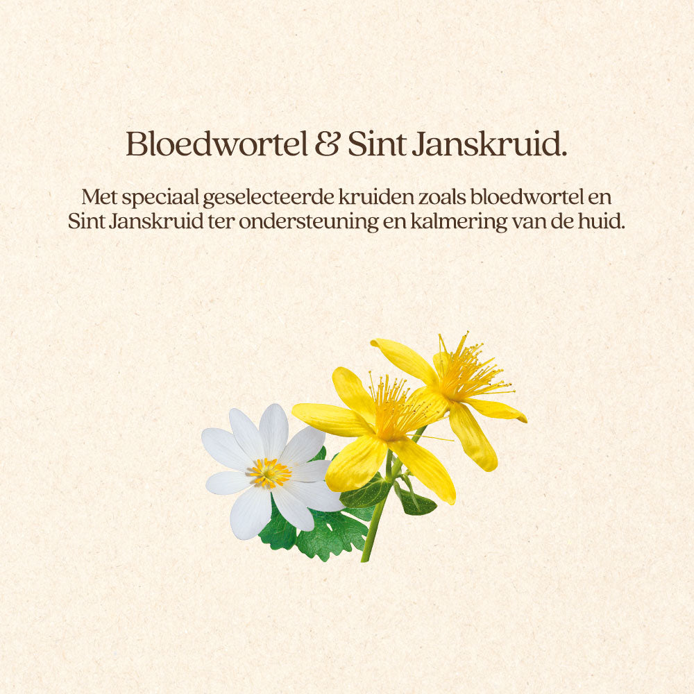 DermaControl VoordeelBundel