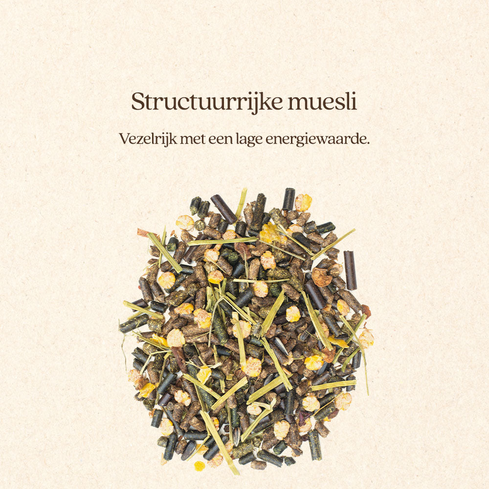 Muesli Light & Sober
