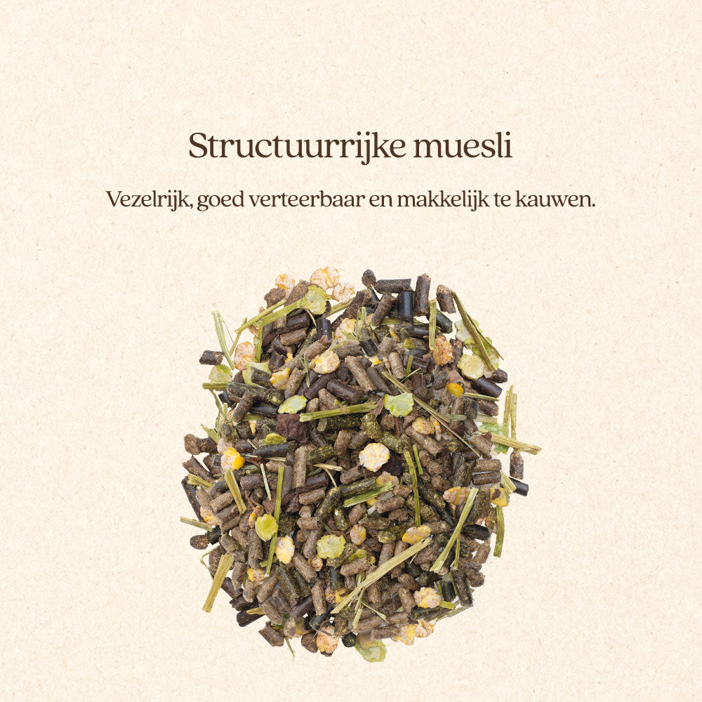 Muesli Senior & Balance