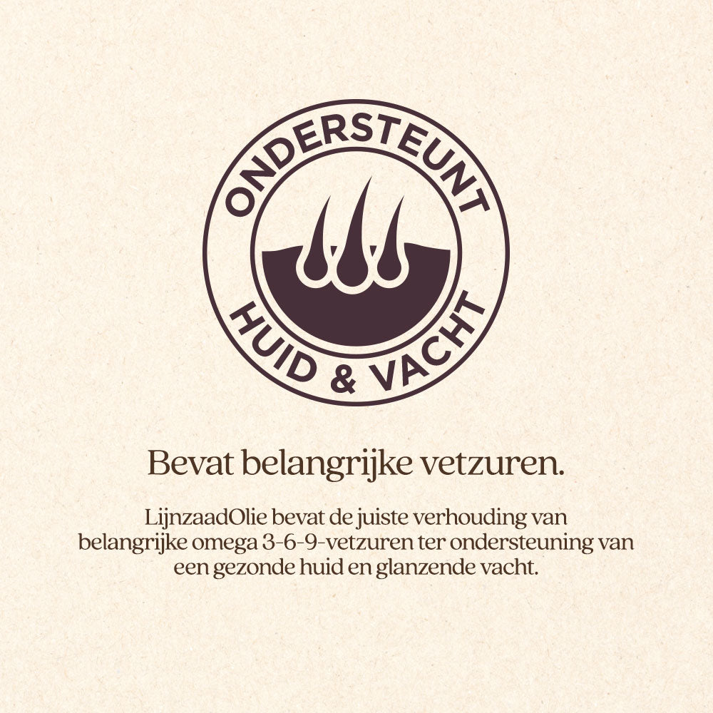 LijnzaadOlie