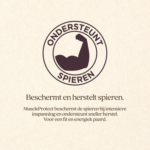 MuscleProtect VoordeelBundel