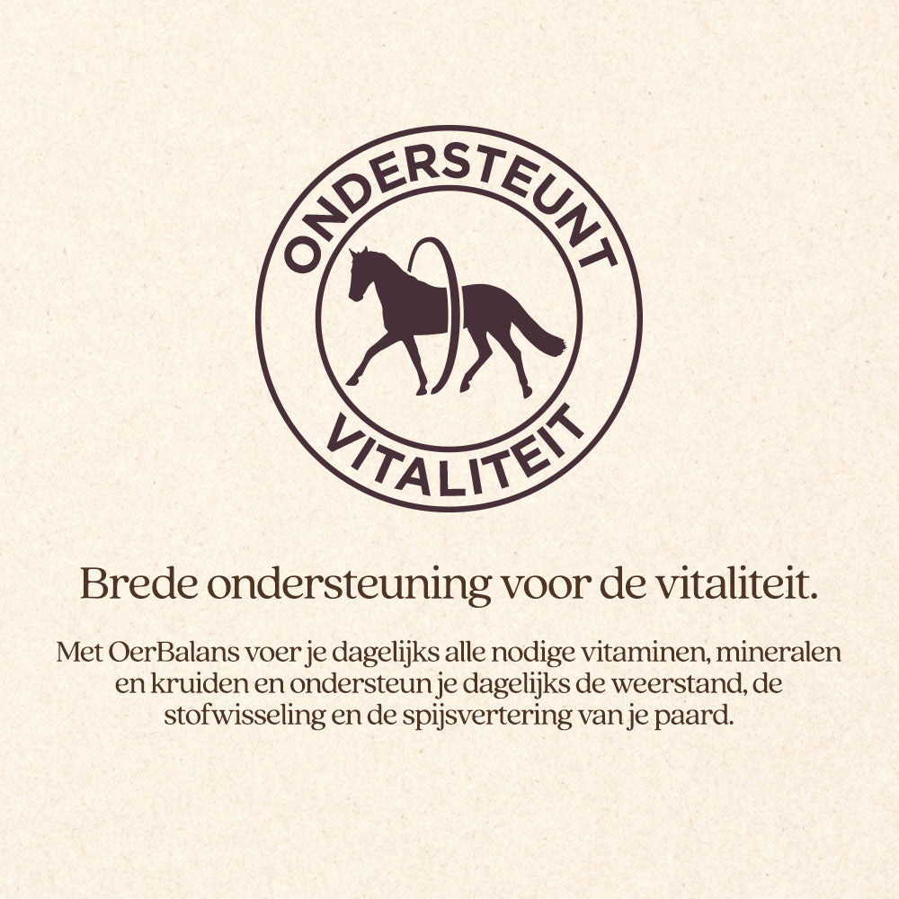 OerBalans