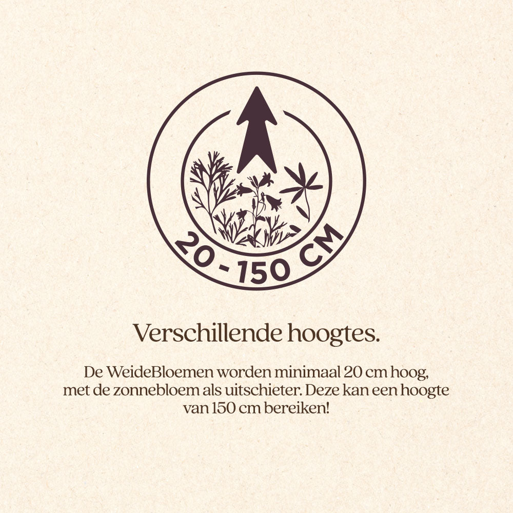 WeideBloemen
