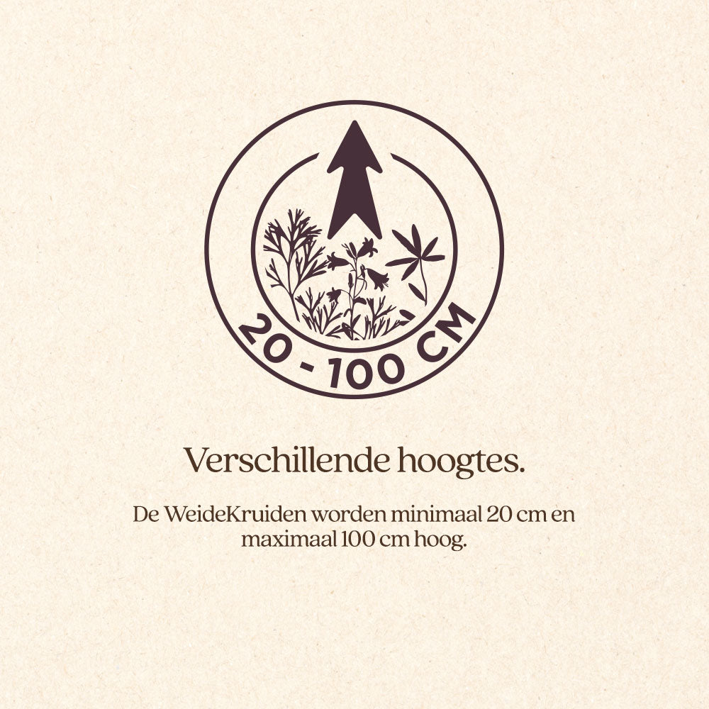 WeideKruiden