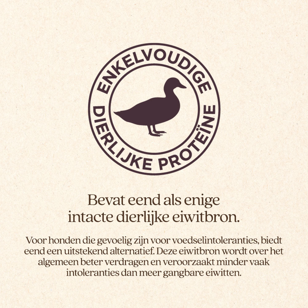 Hond Sensitive Met Eend Brok