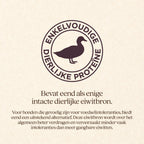 Hond Sensitive Met Eend Brok