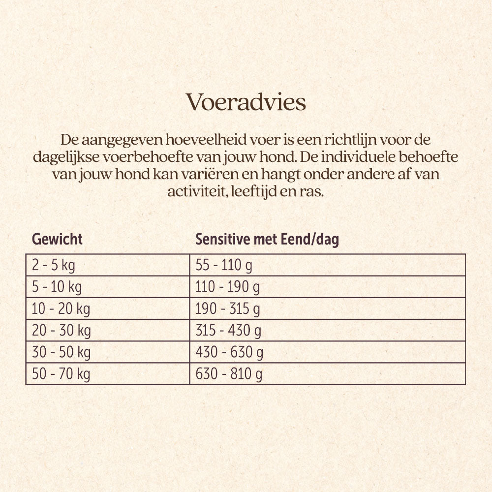 Hond Sensitive Met Eend Brok
